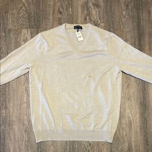Men's Express V-Neck Sweater